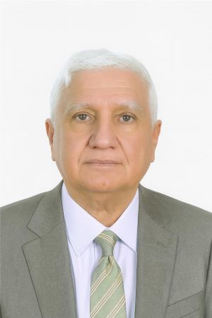 الأستاذ الدكتور محمد راشد