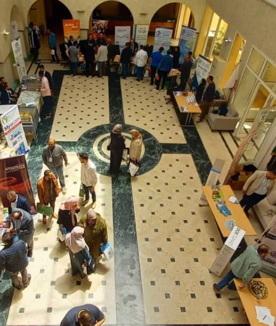 الدورة التدريبية  لأساسيات ومهارات زراعة المفاصل الاصطناعية للركبة