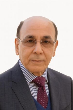 الأستاذ الدكتور الصديق بندلة