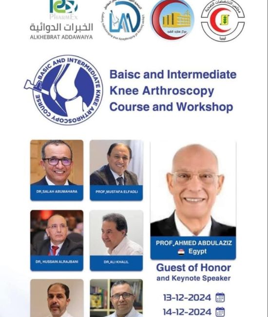Basic and intermediate knee arthroscopy course and workshop