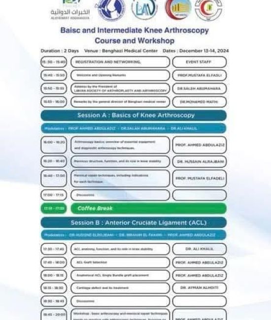 Basic and intermediate knee arthroscopy course and workshop